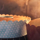 Baking Tools Round Blue Dots Greaseproof Cupcake Baking Tray